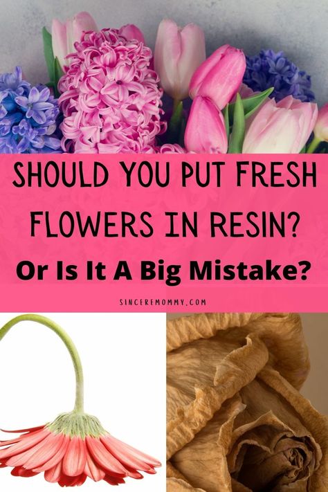 should you put fresh flowers in resin or is it a big mistake Drying Fresh Flowers, Flowers In Epoxy Resin Diy, How To Presevered Flower, Flower Petals In Resin, Live Flowers In Resin, Preserving Fresh Flowers In Resin, Epoxy Resin Crafts Dried Flowers, Resin Real Flowers Diy, Resin Roses Diy