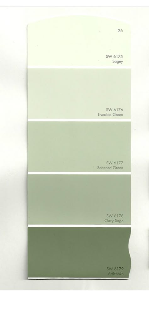 Warna Sage, Pastel Green Wall Color, Drawing Room Color Ideas, Pastel Green Wall Paint, Kamar Hijau Sage, Pista Green Wall Paint, Cat Tembok, Wall Paint Colour Combination, Hallway Colour Schemes