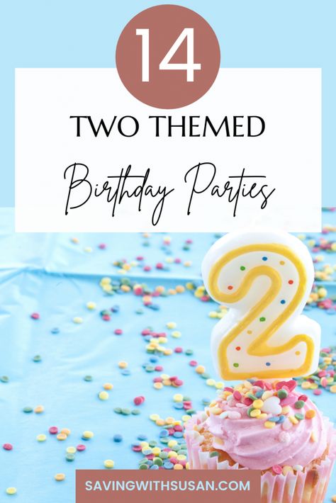 Birthday Theme For Two Year Old, Easy Second Birthday Ideas, Two Year Party Theme, One And Two Year Old Birthday Party, 2 Year Birthday Theme Ideas, 2 Year Birthday Theme October, Two Year Old Birthday Party Girl Ideas, 2 Year Bday Party Ideas, 2 And 4 Birthday Party