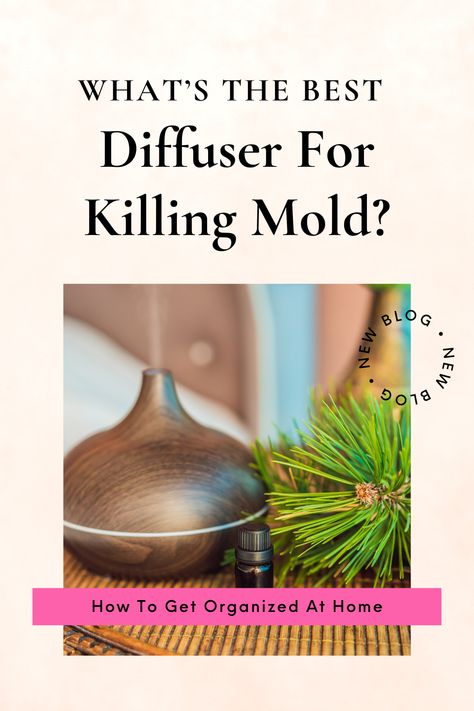 What do you use to get rid of mold spores from your home? This simple tip can prevent mold outbreaks, or at least reduce the number of potential outbreaks in your home. Essential Oils For Mold Diffuser, How To Get Rid Of Mold Smell In House, How To Get Rid Of Mold In House, Get Rid Of Mold Smell, Getting Rid Of Mold, Young Living Diffuser Recipes, Best Oil Diffuser, Kill Mold, Mold Smell