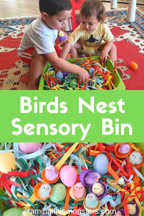 Birds Sensory Activities, Bird Nest Preschool, Bird Nest Sensory Bin, Bird Theme Activities For Toddlers, Bird Theme Activities Preschool, Hooray For Birds Activities, Spring Animal Activities For Toddlers, Toddler Bird Craft, Bird Toddler Activities