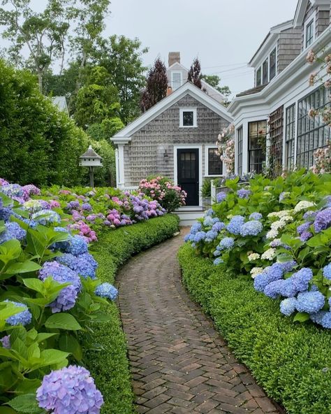 a nantucket summer on Instagram: “Start spreading the news, Hunky Dory has bloomed! 😍💙✨⠀ ⠀ ⠀ ⠀ ⠀ ⠀ ⠀ #anantucketsummer #nantucket #ack #summer #island #hydrangea #hydrangeas…” Hydrangea Landscaping, Growing Hydrangeas, Front Yard Garden Design, Hydrangea Garden, Front Landscaping, Home Landscaping, Front Yard Garden, Garden Pathway, House Landscape