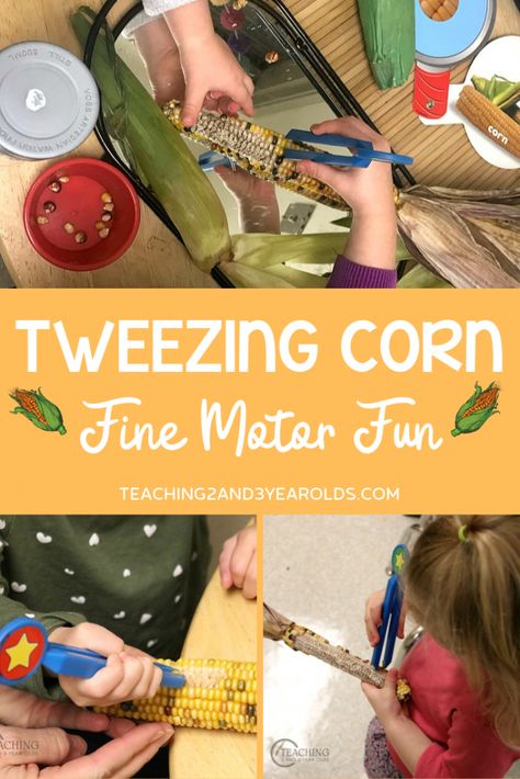 This tweezing corn activity is a fun way to build preschool fine motor skills. Perfect with your farm or fall theme! #finemotor #preschool #corn #fall #farm #age3 #age4 #teaching2and3yearolds Corn Activity, Birds Preschool, November Themes, Corn Theme, November Preschool, Teal Room, Farm Lessons, Preschool Fine Motor Skills, Preschool Thanksgiving