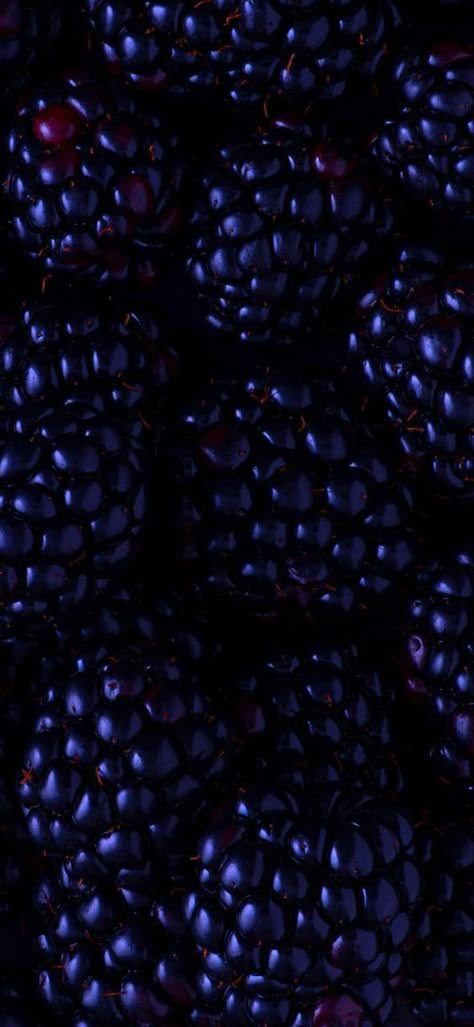 Berries Aesthetic, Berries Photography, Berry Wallpaper, Wallpaper Fruit, Berries Wallpaper, Fruits Wallpaper, Lace Sleeve Shirt, Overall Fashion, Purple Fruit