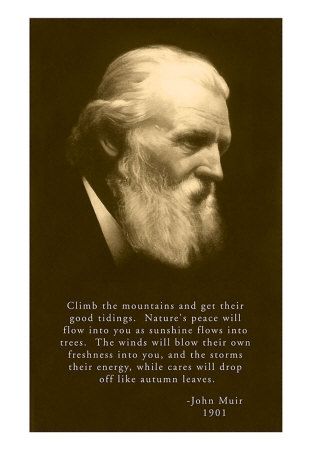 Man's Place in the Universe, A very insightful piece written by John Muir. Wikipedia him. He's an intriguing man. John Muir Quotes, Nature Quotes Adventure, Healthy Remedies, A Course In Miracles, Mountains Are Calling, The Mountains Are Calling, John Muir, Adventure Quotes, Art Prints Quotes