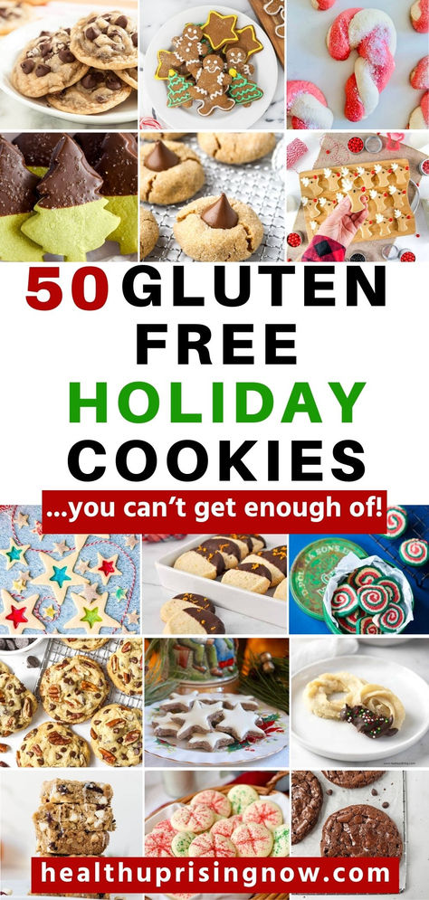 A collection of holiday cookies like the ones you'll find in this post that showcases 50 Christmas cookie recipes Gluten Cookie Recipes, Recipes For Gluten Free Cookies, Gluten Free Chocolate Cookies Easy, Gluten Free Nut Free Christmas Cookies, Egg Free Gluten Free Cookies, Gluten Dairy Free Holiday Recipes, Gluten Free No Bake Christmas Treats, Gluten Free Dairy Free Christmas Cookie Recipes, Gluten Free Linzer Cookies Recipe