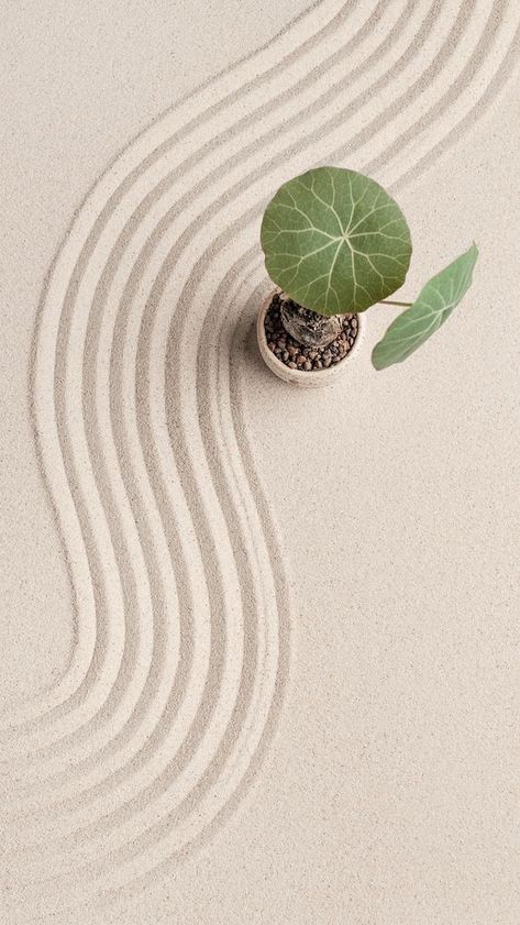 Zen Wallpaper Iphone, Iphone Wallpaper Zen, Zen Branding, Relax Image, Relief Aesthetic, Japanese Esthetics, Zen Background, Japanese Zen Art, Peaceful Design