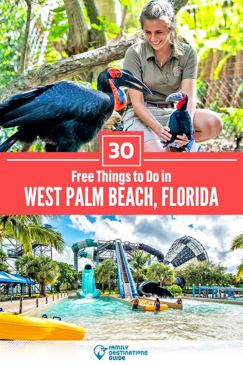 Looking for free activities in West Palm Beach that are fun and interesting? We’re FamilyDestinationsGuide, and we’re here to help: Discover the best free things to do in West Palm Beach, FL - so you get memories that last a lifetime! #westpalmbeach #westpalmbeachthingstodo #westpalmbeachactivities #westpalmbeachactivitiesfree #westpalmbeachthingstodofree Beach With Kids, Palm Coast Florida, Breakers Palm Beach, Florida Road Trip, Things To Do In Florida, West Palm Beach Florida, Kid Friendly Activities, Palm Coast, Beach Activities