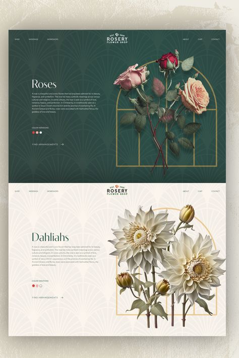 Flower Facts web page Web Flower Design, Floral Website Design Inspiration, Flowers Website Design, Traditional Website Design, Art Deco Web Design, Flower Shop Graphic Design, Floral Website Design, Art Deco Website Design, Flower Branding Design