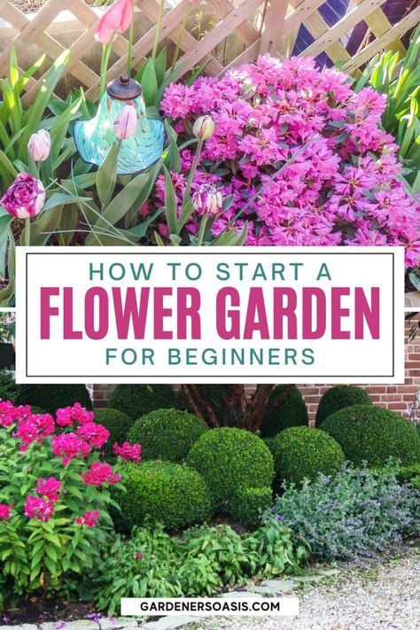 These flower garden ideas for beginners will show you exactly how to start a garden of your own! If you're looking for inspiration to get started, this is the post for you. Perfect for new gardeners! Flower Garden For Beginners, Flower Garden Layouts, Garden For Beginners, Garden Planning Layout, Small Flower Gardens, Flower Garden Plans, Backyard Flowers, Flower Garden Design, Gardening Flowers