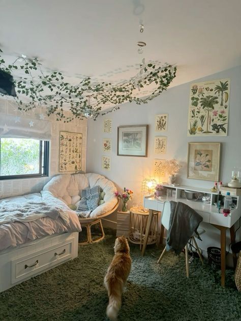 Europe Aesthetic Room, Aesthetic Rooms With Carpet Floors, Green And Tan Bedroom Aesthetic, Rooms Green Aesthetic, Room Ideas Soft Aesthetic, Forestry Room Aesthetic, Room Ideas Aesthetic Day Bed, Cozy Cottage Room Aesthetic, Rainforest Room Aesthetic