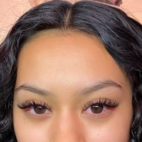 Wet Set Extensions, Wet Set Lashes Cat Eye, Kylie Wet Set Lashes, Short Wet Set Lash Extensions, Lash Wet Set, Lashes Wet Set, Wet Set Eyelash Extensions, Hybrid Wet Set, Classic Wet Set Lashes