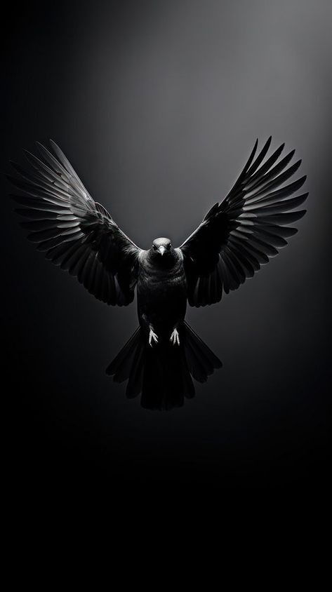 Iphone Wallpaper Birds, Black Eagle Wallpaper, Dark Iphone Wallpaper, Iphone Wallpaper Dark, Wallpaper Birds, Animal Body Parts, Eagle Wallpaper, Bird Flying, Black Eagle