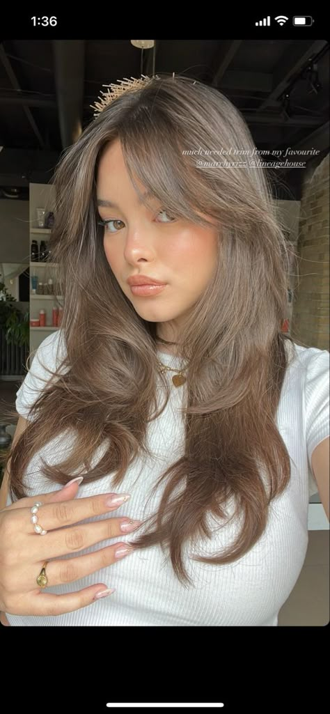 All Over One Color Hair, Half Hair Balayage, Best Hair Colours For Cool Skin Tones, Best Asian Hair Color, Brown Hair With Highlights Fair Skin, Ashy Chestnut Brown Hair, Light Hair Colors For Tan Skin, Cool Brown Asian Hair, Dark Blonde Asian Hair