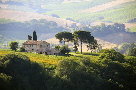 Italian Country Cottage, Italian Farm Aesthetic, Italian Countryside House, Italy Villages, Italian Cottage, Italian Farm, Italy Countryside, House In The Hills, Italian Vineyard