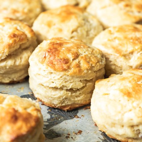 These easy Sourdough Discard Biscuits are flaky and buttery with a hint of delicious tanginess. The simple dough takes minutes to pull together and the Sourdough Discard Biscuits, Sourdough Treats, Discard Biscuits, Sourdough Discard Crackers, Wild Thistle, Discard Crackers, Sourdough Biscuits, Discard Recipe, Sourdough Recipe