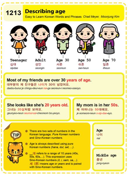 1213-Describing age Age In Korean Language, Age In Korean, Korean Vocab, Learn Basic Korean, Korean Letters, Korean Age, Learn Korean Alphabet, Korean Vocabulary, Learn Hangul