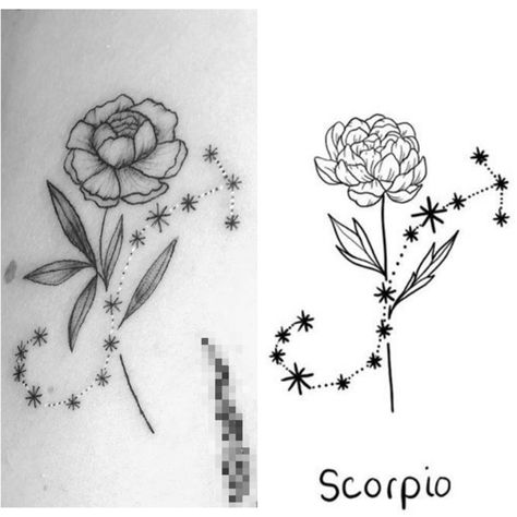 Chrysanthemum And Scorpio Tattoo, Flower And Stars Tattoo, Scorpio Flower Tattoo, Scorpio Flower, Virgo Flower, Constellation Scorpio, Flower Tat, Stars Tattoo, Chrysanthemum Tattoo