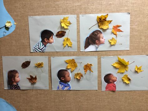 Infant Room, Tree Study, Fall Kindergarten, Fall Preschool, Daycare Crafts, Fall Crafts For Kids, Kindergarten Art, Autumn Crafts, Classroom Crafts