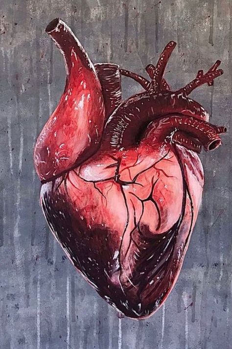 EXTERNAL STRUCTURE OF HEART Human Heart Art, Heart Organ, Anatomical Heart Art, Prosthetic Makeup, Human Body Art, Heart Anatomy, Human Anatomy Art, Blood Art, Nursery Paintings