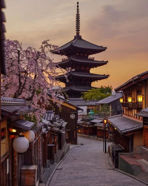 Wallpaper Edgy, Japan Travel Photography, Japan Picture, Background Retro, Tokyo Japan Travel, Cherry Blossom Trees, Japan Landscape, Japan Architecture, Most Beautiful Places To Visit