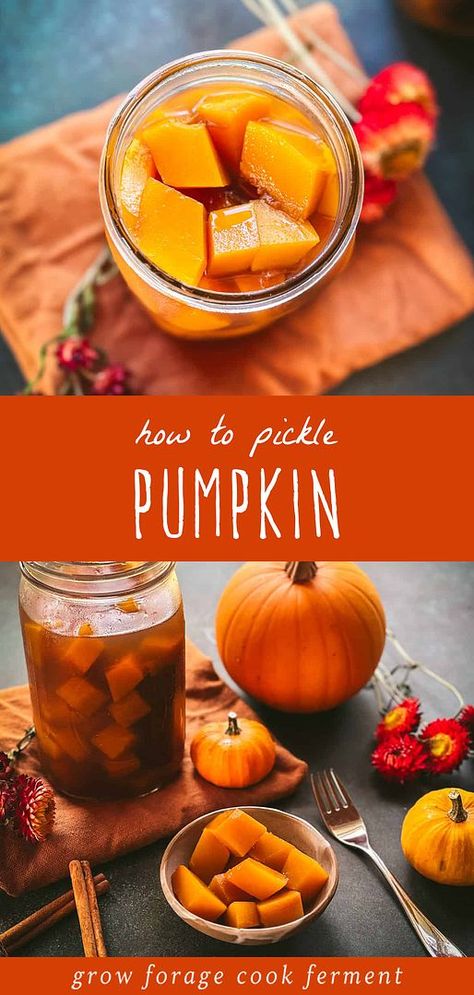 Ever wondered How to Pickle Pumpkin? Our guide offers a step-by-step journey into the art of pickling this beloved winter squash. Explore our Winter Squash Recipes collection for more ways to enjoy these hearty, seasonal delights. Pickled Pumpkin Recipe, Seasonal Recipes Fall, Quick Pickle Recipe, Quick Pickle, Pumpkin Peel, Holiday Cheese Boards, Winter Squash Recipes, Pumpkin Beer, Thanksgiving Side Dish