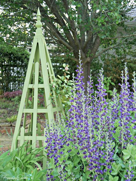 Obelisk Trellis Diy How To Build, Pyramid Trellis, Garden Wood Projects, Diy Pyramid, Wall Mounted Trellis, Cattle Panel Trellis, Cedar Trellis, Rustic Trellis, Pot Trellis