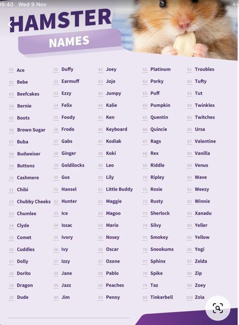 Hamster Names Ideas, Hamster Ideas, Cute Puppy Names, Cute Pet Names, Hamster Diy, Hamster Names, Name Symbols, Hamster Care, Baby Hamster