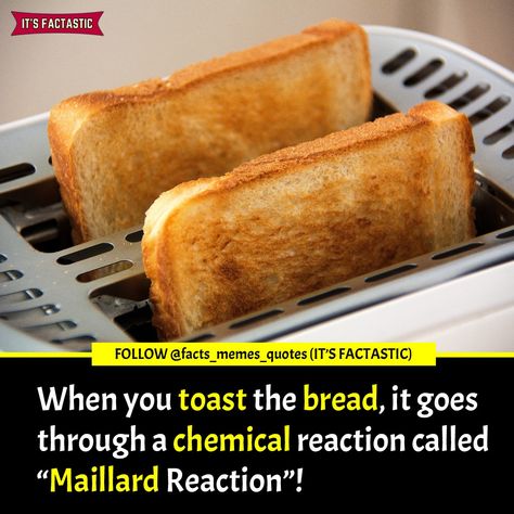 When you Toast the bread, it goes through a chemical reaction called "Maillard Reaction"! Tag Ur FRIENDS!😲😲😲 Stomach Gas, Good Lifestyle, Maillard Reaction, Exercise Moves, Stomach Ulcers, Chemical Reaction, Milk And Cheese, Homemade Beauty Tips, Health Eating