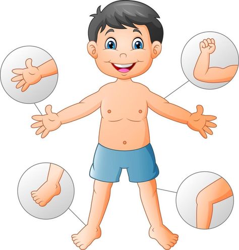 Cartoon boy Vocabulary human body Body Parts Preschool Activities, Picture Of Body, Human Body Projects, Body Preschool, Body Parts Preschool, Educational Activities For Preschoolers, Senses Activities, All About Me Preschool, Cartoon Body