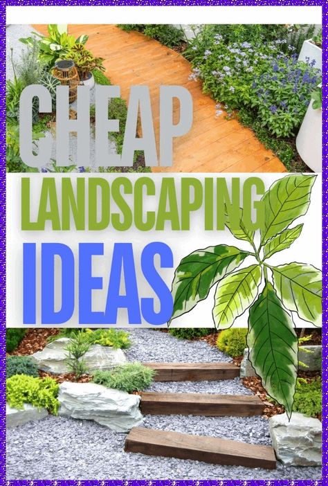 [Sponsored] Transforming Your Yard On A Budget Is Easy With A Few Cost-Effective Landscaping Ideas. Start By Using Mulch Alternatives Like Leaves Or Grass Clippings To Keep The Soil Moist And Reduce Weed Growth, And Opt For Hardy Native Plants Or Perennials That Require Less Maintenance And Replanting Each Year. Diy Pathways Made Of Gravel Or Recycled Materials Like Bricks Can Create Attractive, Functional Walkways Without Spending A Lot. You Can Also #gardensolarlightsideasoutdoor Grassless Yard Ideas, Mulch Alternative Ideas, Easy Garden Ideas On A Budget, Yard On A Budget, Mulch Alternatives, Inexpensive Landscaping, Diy Pathway, Cheap Landscaping, Replace Lawn