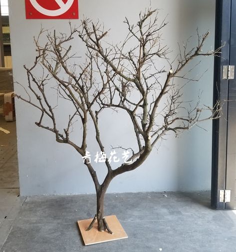 Dry Tree Branches Decoration, Branch Projects, Plum Blossom Art, Reunion Quotes, Dried Tree Branches, Nature Cottage, Clay Tree, Tree Props, Door Tree