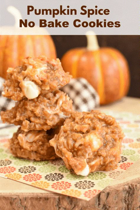 Oats Pudding, Pumpkin No Bake Cookies, Dessert Recipes Pumpkin, Pumpkin Dessert Recipes, Cookies Pumpkin, No Bakes, Pumpkin Recipes Easy, No Bake Recipes, Recipes Pumpkin