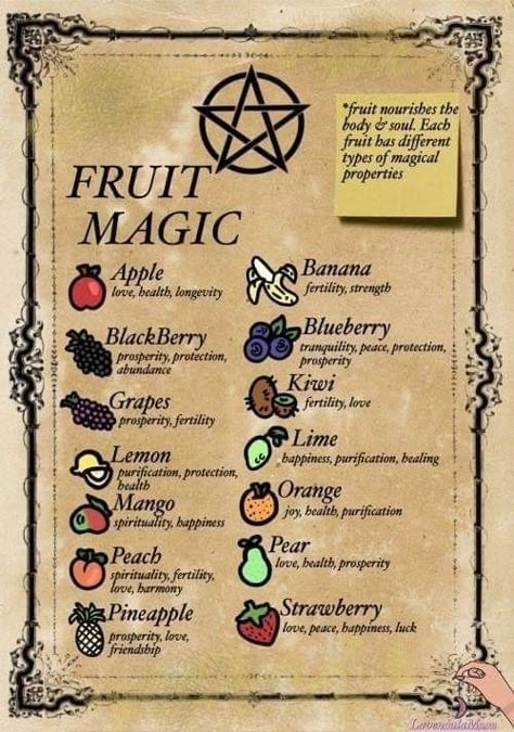 Fruit Magic, Witch Herbs, Spells For Beginners, Green Witchcraft, Witch Things, Magia Das Ervas, Wiccan Magic, Witchcraft Books, Grimoire Book