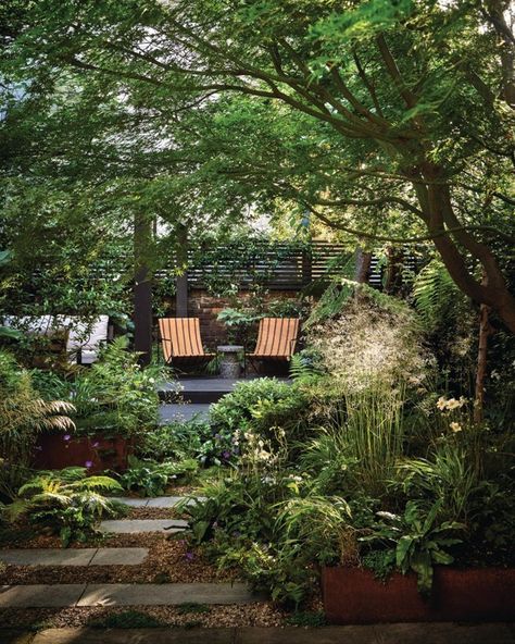 A tiny, tranquil city sanctuary garden designed by @HarryHoldingstudio that makes the most of its shady situation. 🕶️ For this small London garden, designer Harry Holding has taken inspiration from the lush textures of tropical forests to create an urban woodland oasis. “We knew we were lucky to have a decent-size garden in inner city London,” says owner Tara Moss, who lives here with her husband and two teenage sons. “But we never really used the space before – it just didn’t work for us.... Small Secret Garden, Small London Garden, Sanctuary Garden, Garden Ideas Uk, Small Tropical Gardens, Small City Garden, Tropical Forests, Back Garden Design, London Garden