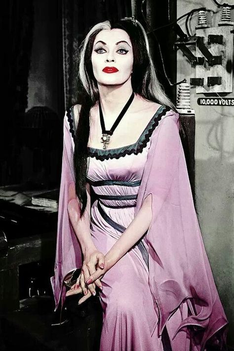 The Munsters Halloween Costumes, Old Fashioned Halloween Costumes, Lilly Munster, Munsters Tv Show, Horror Crafts, Gothic Noir, Women Actresses, Herman Munster, The Munster