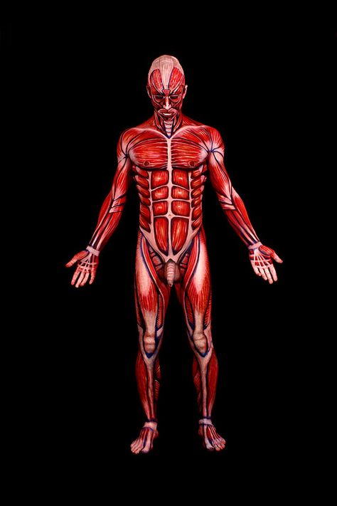 Various - Johannes Stötter Fine Art Bodypainting Gallery and Prints Johannes Stoetter, Body Painting Men, Human Painting, Human Canvas, Art Tumblr, Human Art, Painting Videos, Anatomy Art, Human Anatomy