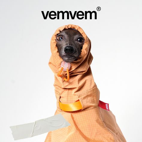 Sherbert Orange colored Super Raincoat has a comfortable avant-garde fit and is made of special membrane functional material, which blocks heavy rain and keeps Italian Greyhound dry and warm. It is suitable for all seasons. Dogs Wearing Clothes, Greyhound Clothes, Greyhound Dogs, Dog Wearing Clothes, Italian Greyhound Clothes, Dog Summer Clothes, Dog Fashion, Functional Clothing, Dog Raincoat