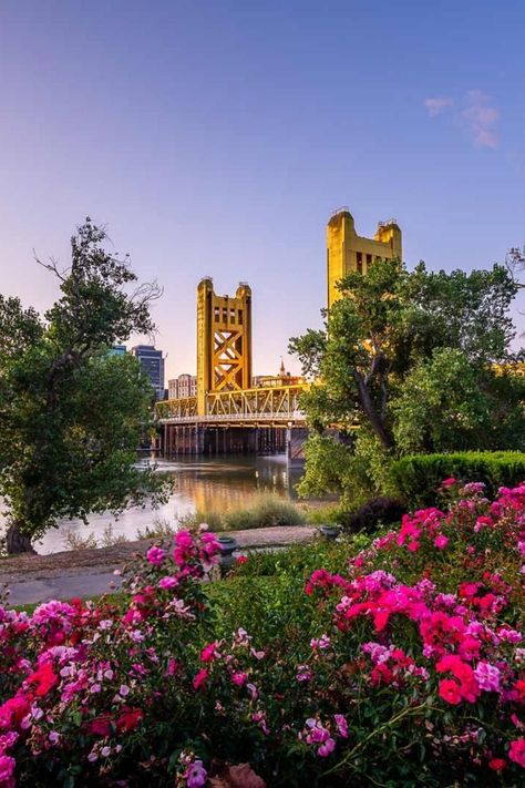 With plenty of historic sites, a thriving craft beer scene, plenty of museums, and a food lovers’ paradise there are plenty of things to do in Sacramento to keep you busy. | The Planet D #Sacramento #California | things to do in sacramento california | things to do sacramento ca | fun things to do in sacramento ca | North America Travel | Visit the USA | Most Beautiful Travel Photos Sacramento Tower Bridge, Things To Do In Sacramento California, Sacramento California Aesthetic, Sacramento Aesthetic, Sacramento Bridge, California Museums, Sacramento State University, Things To Do In Sacramento, Sac State