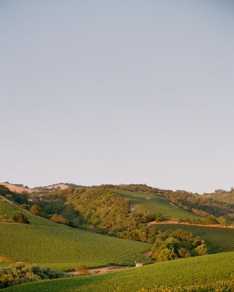 Happy Anniversary! We had a blast photographing this beautiful wedding at Kunde Winery in Sonoma, California. Here are 10 reasons why Kunde is an amazing wedding venue: 1. Beautiful vineyard views 2. Multiple event spaces 3. Historic charm 4. Excellent wine selection 5. Delicious local food options 6. Helpful wedding staff 7. Great photo spots 8. Gorgeous in every season 9. Easy to get to in Sonoma 10. Eco-friendly practices The team that made the pictures possible: Planner: @courtneycar... Minimalist Couple, Beautiful Modern Homes, Sonoma California, Backyard Weddings, Wine Selection, Food Options, 10 Reasons, Having A Blast, Local Food