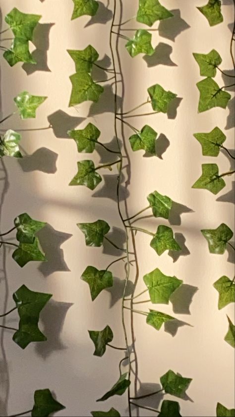 Vine Astethic, Vine Wallpaper Iphone, Blonde Aesthetic, Funny Lockscreen, Boquette Flowers, Ceramic Ideas, Fun Easy Crafts, Floral Vine, Photography Backdrops