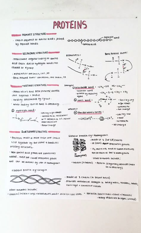 A level revision notes on proteins, amino acids and biological molecules.   #study #biology #science #school Dna Notes, Protein Biology, Biochemistry Notes, Gcse Biology, Student Reference, Bio Notes, Science Revision, Biology Revision, A Level Biology