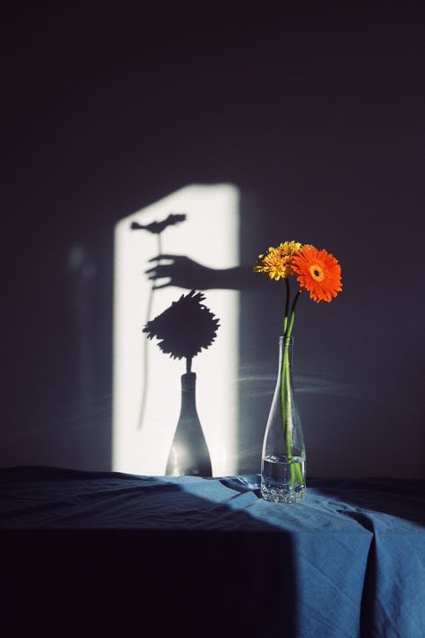 Arte Jazz, Light And Shadow Photography, Object Photography, Shadow Photography, Photographie Portrait Inspiration, Shadow Photos, Still Life Photos, Shadow Art, Conceptual Photography