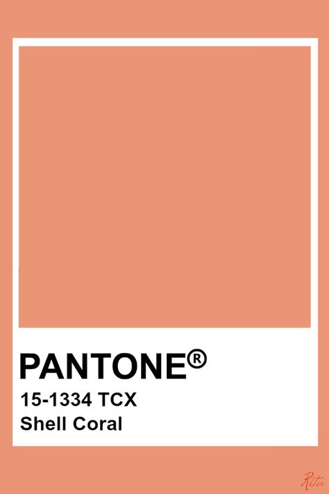 Pantone Shell Coral Coral Color Aesthetic, Orange Pantone Color, Pantone Orange, Coral Pantone, Pantone Tcx, Pantone Color Chart, Pantone Swatches, Pantone Palette, Coral Pink Color