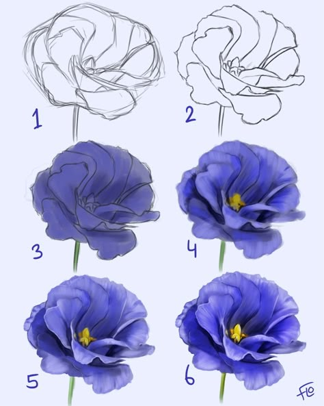 Ako Kresliť, How To Draw Flowers, Flower Step By Step, Flower Drawing Tutorials, Draw Flowers, Flower Art Drawing, Drawing Flowers, Flower Sketches, Watercolor Flower Art