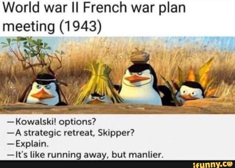 Historical Humor, History Jokes, Country Memes, Hilarious Photos, History Nerd, Military Humor, History Humor, Really Funny Memes, Funny Laugh