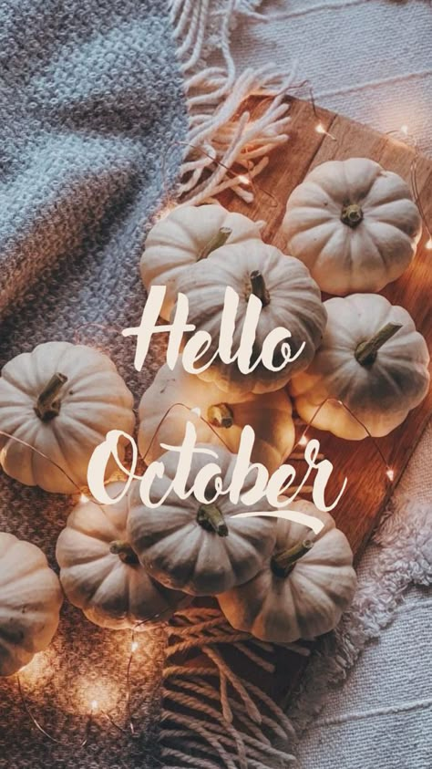 Hello October Images, October Images, Fall Backgrounds Iphone, Autumn Phone Wallpaper, October Wallpaper, Fall Wallpapers, Cute Fall Wallpaper, Hello October, Iphone Wallpaper Fall