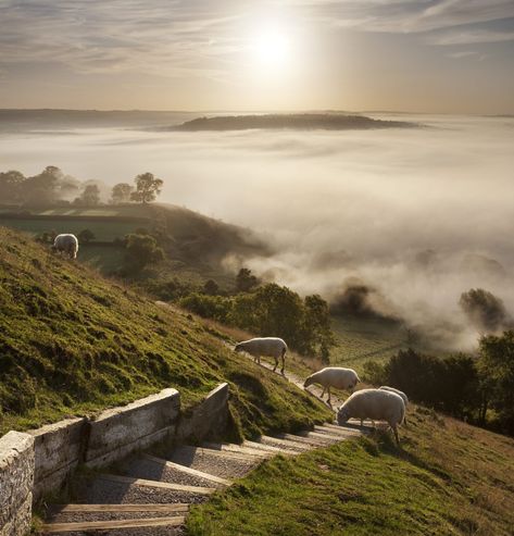 Stairway Picture Wall, Stairway Pictures, Landscape Mood Board, Sheep Poster, Autumnal Aesthetic, Music Documentary, Joseph Of Arimathea, Country Life Magazine, Sanctuary Home