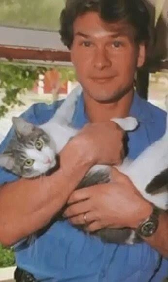 Patrick Swayze People With Cats, People And Cats, Celebrities With Cats, Men With Cats, Famous Cats, Patrick Swayze, Two Cats, Dirty Dancing, Cat People