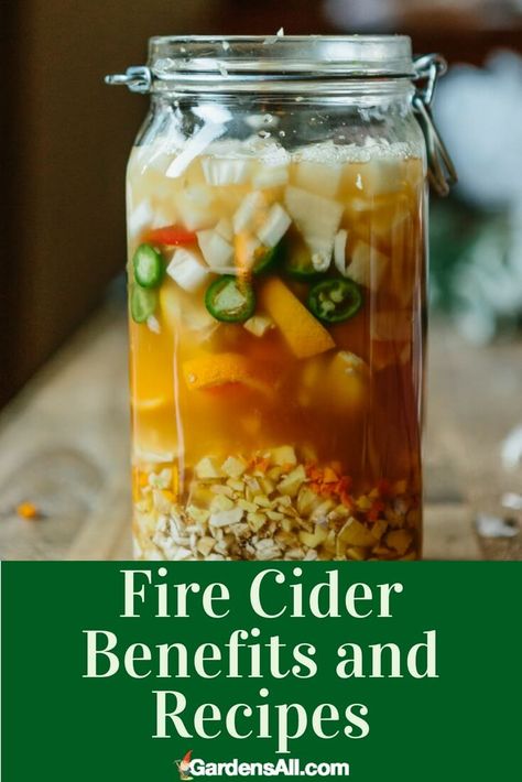 Fire Cider Benefits, Fire Cider Tonic, Fire Cider Recipe, Immunity Tea, Natural Immune Boosters, Fire Cider, Cider Recipe, Herbal Recipes, Nutrient Rich Foods